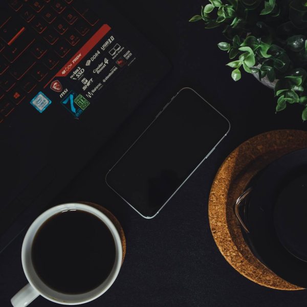 Laravel Development Services